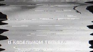 Момент из новостей "Непун"