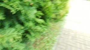 экстримальная секретка