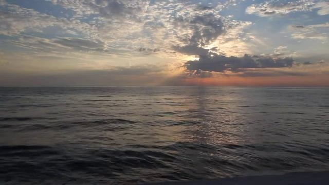 House Of The Rising Sun смотреть онлайн