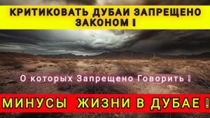ПОЧЕМУ НЕЛЬЗЯ КРИТИКОВАТЬ ДУБАИ ❗️ ЗА КРИТИКУ ДАЮТ СРОК ❗️
