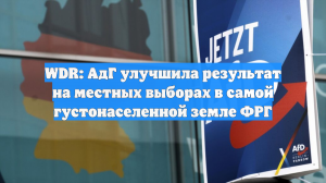 WDR: АдГ улучшила результат на местных выборах в самой густонаселенной земле ФРГ