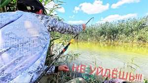 НУ И В ДЕБРИ ЖЕ МЕНЯ ЗАНЕСЛО!ЛОВЛЯ САЗАНА,КАРАСЯ ЛЕТОМ НА МОРМЫШКУ 2025!!ПОПЛАВОЧНАЯ УДОЧКА ВПЕРЕД!