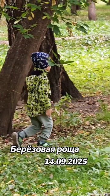 Берёзовая роща 14 сентября смотреть онлайн