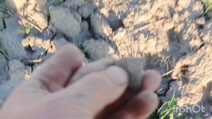 После домашних дел пару часов погулять с металлоискателем!