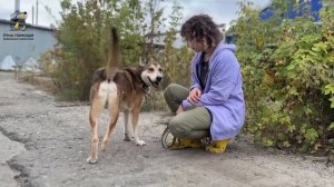 Большая беда Бархана. Поддержать⬇️