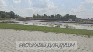 - КАТЯ, ПРИЕЗЖАЙ (рассказ)