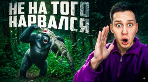 Когда животные связались не с тем соперником