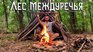 Отправился в Лес Междуречья / Моя Берлога
