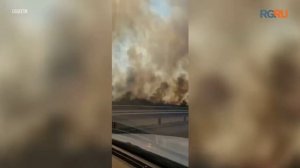 В Ростовской области загорелся камыш на площади полутора тысяч квадратных метров