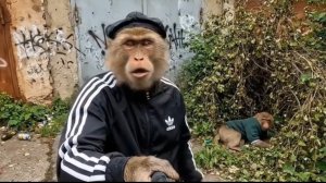 Гоша Бомжезьян на районе.