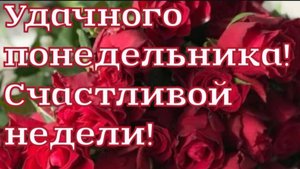 ДОБРОЕ УТРО ПОНЕДЕЛЬНИКА !