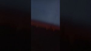 гуляю на жирафике 1