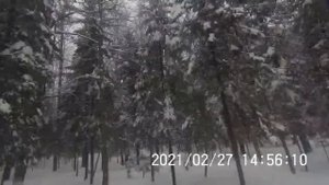 По нижней тропе к ФигВаму (икер ьлдов, Лосониснка)https://youtu.be/U3gFiJJGCfc