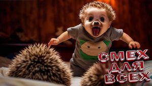 ЛУЧШИЕ ПРИКОЛЫ 2025 СМЕШНЫЕ ЖИВОТНЫЕ, КОТЫ, КОТИКИ, САМОЕ СМЕШНОЕ ВИДЕО