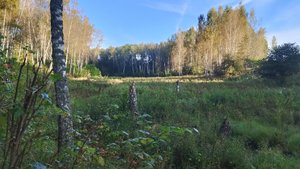 Новости охоты и рыбалки от 14 сентября 2025