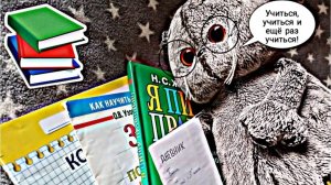 ДЕЛАЕМ УРОКИ ВМЕСТЕ С ЛИЛИ 🎀 ОКРУЖАЮЩИЙ МИР,ЧТЕНИЕ,МАТЕМАТИКА,ПИСЬМО БАСИКИ БАСЯТА БАСИК ЛИЛИ