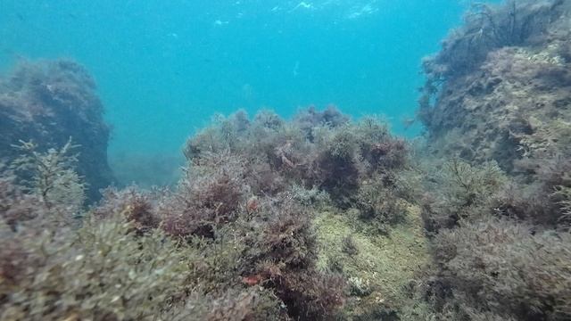 Богатое Черное море в сентябре. смотреть онлайн