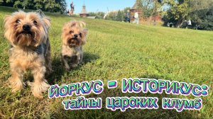 В мире йорков. ЙОРКУС - ИСТОРИКУС: тайны царских клумб
