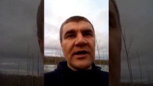 Как открыть свою лесопилку, на чем заострить особое внимание