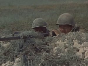 ЛЮБЭ - Луговая трава