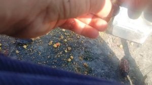 закрываем ночной сезон 2025. отличный отдых. рыбалка на кормушки