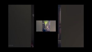 смешные видео