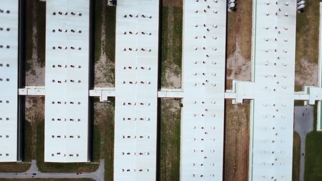 Видеоролик Группы "ПРОДО" для выставки АгроОмск-2025