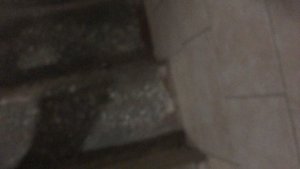 Теорема ЖКХ_Подъезд_2025.09.15_15-00