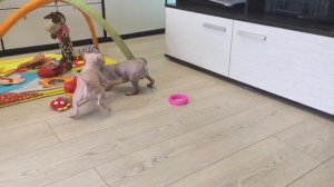 Жужа в младенчестве