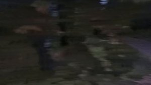 Я сделала, наконец то.