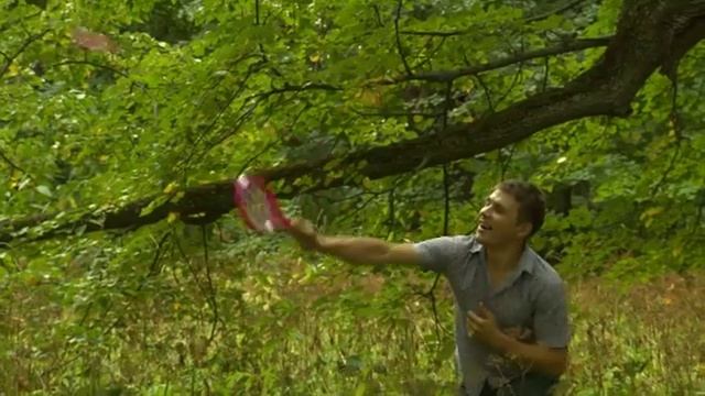 Уроки воспитания щенка. Прогулки