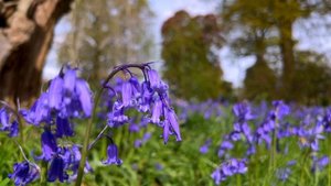 Подкаст 16. Сдвиг Сознания. О доброте, принятии и теневых сторонах личности.