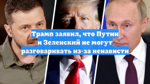 Трамп заявил, что Путин и Зеленский не могут разговаривать из-за ненависти