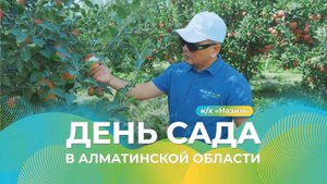 День Сада в Алматинской области  | к/х «Назим»  #деньсада #яблоня #яблоневыйсад
