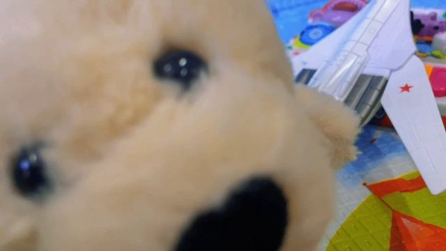 Кто кого везёт?✈️🌸