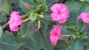 05=09=2025   Ю  КМР  (6)