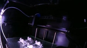 Трансляция 3D печать