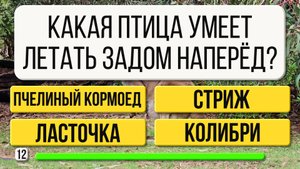 Только 10% справятся! 🧠 Сможете ответить на все вопросы?