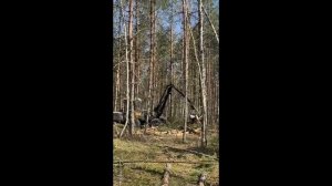 NEW VIMEK АНТИХАРВЕСТЕР Быстрое лесовосстановление 89261385927