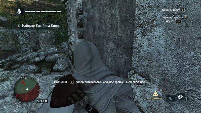 Assassin's Creed IV  Black Flag прохождение