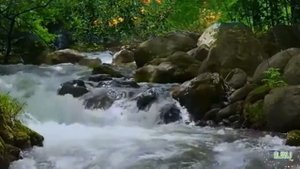 Истории из жизни|Час, прописанный свыше|Аудио рассказы|Аудиокниги слушать