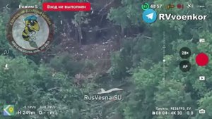 🇷🇺🔥🇺🇸⚡Рязанский десант охотится на НАТОвскую артиллерию, наступая на Сумы