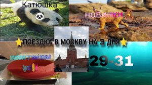 🎀ВЛОГ С ПОЕЗДКИ В МОСКВУ🎀|влог#1| 29-31.08| magic house|