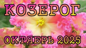 КОЗЕРОГ таро прогноз на ОКТЯБРЬ 2025 года.