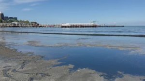 ПОЗНАКОМИЛАСЬ С ДЕВОЧКОЙ. ЖУТКАЯ ВОНЬ НА МОРЕ. КАКАЯ УЖАСНАЯ РЕКЛАМА В ТУАЛЕТЕ)))))