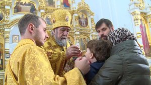 Неделя 20 по Пятидесятнице (2017 г.)