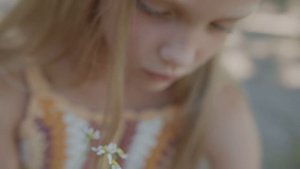 10601161-uhd_4096_2160_25fps