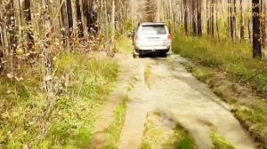 Дорога на ракетку на Джип Гранд Чероки, Тойота Форчунер и Ниве