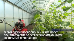 Белгородские подростки могут принять участие во Всероссийском конкурсе «Школьный агростартап»