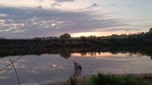 ПЕРВЫЙ ОСЕННИЙ НАЛИМ. РЕКА ЧЕПЦА